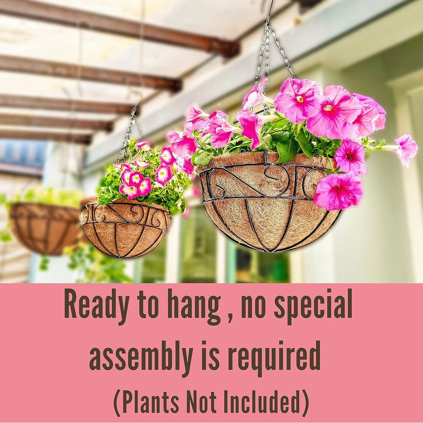 LaLaGreen Hanging Planter for Outdoor Plants (12 Inch, 2 Pack) Hanging Baskets with Coco Liner, Black Metal Wire Flower Basket Pots with Hook Hanger Balcony Porch Farmhouse Country Style Garden Decor