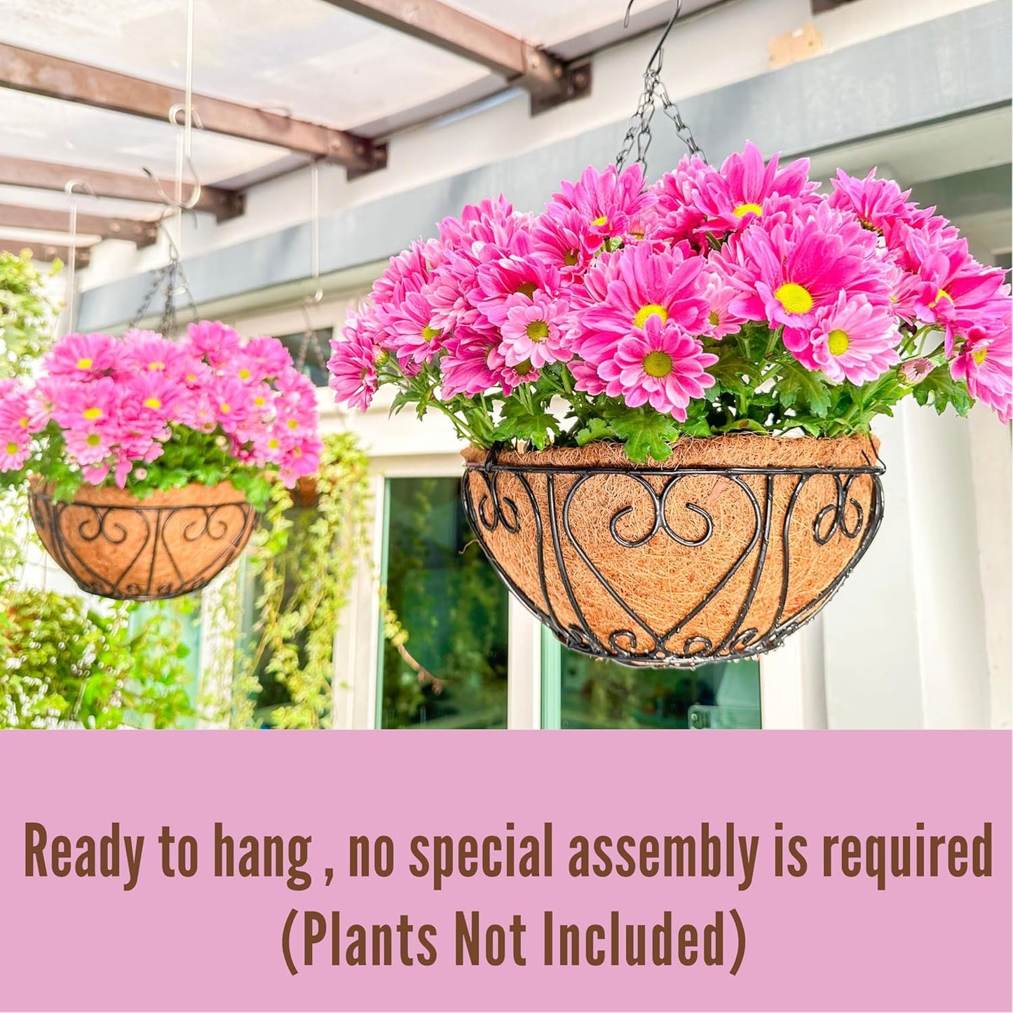 LaLaGreen Hanging Baskets for Plants (2 Pack, 12 Inch) Hanging Flower Pots with Coco Liner, Black Metal Wire Round Basket Plant Holder with Hanger Hook Chain, Outdoor Patio Deck Balcony Garden Décor