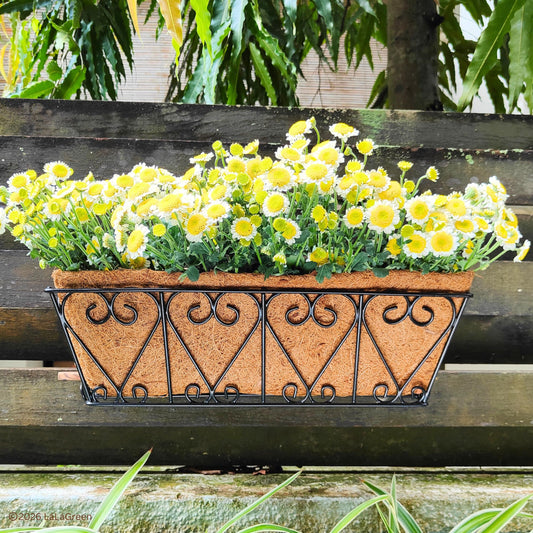 LaLaGreen Rectangular Coconut Coir Replacement Liners