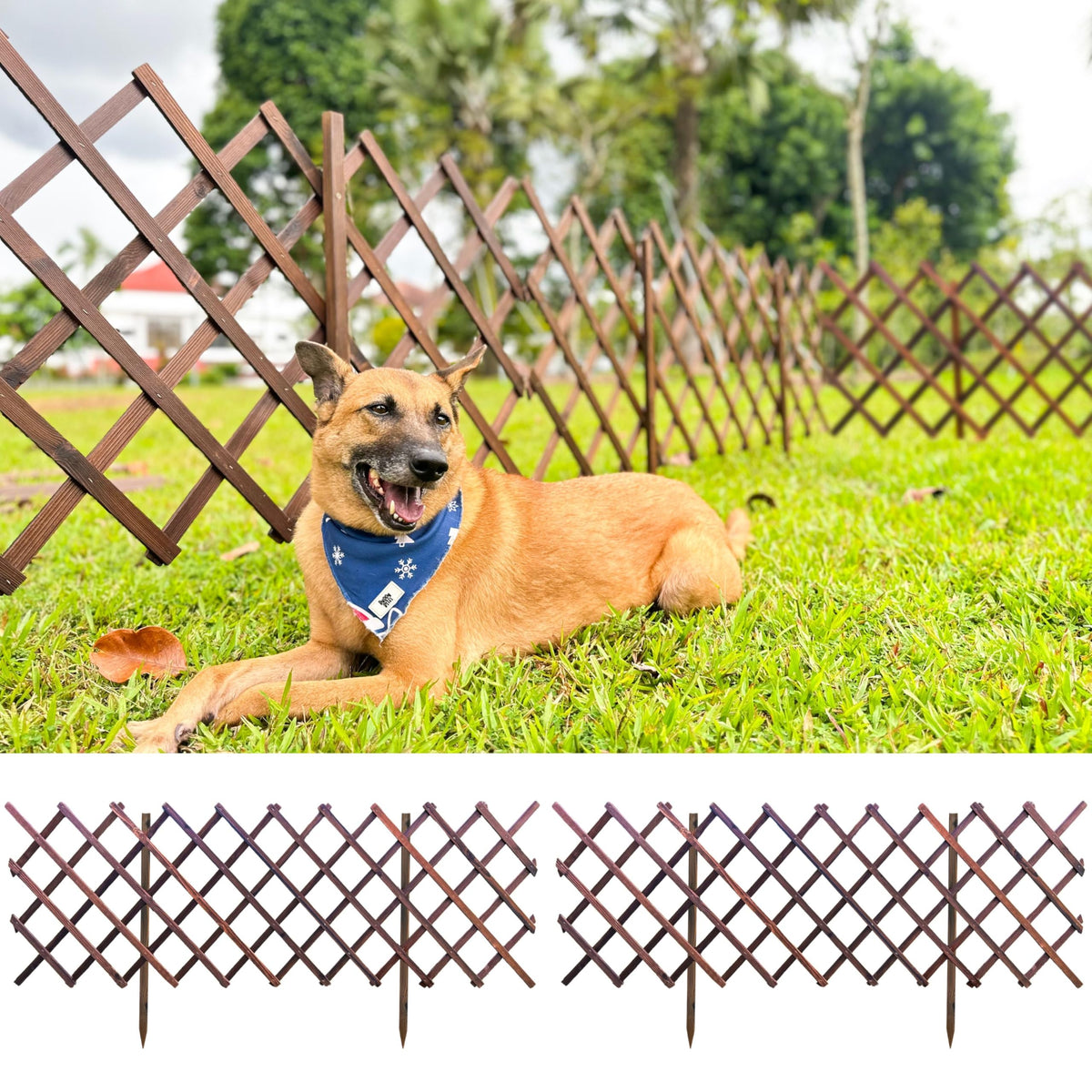 LaLaGreen Expandable Wooden Lattice Garden Fence Panels