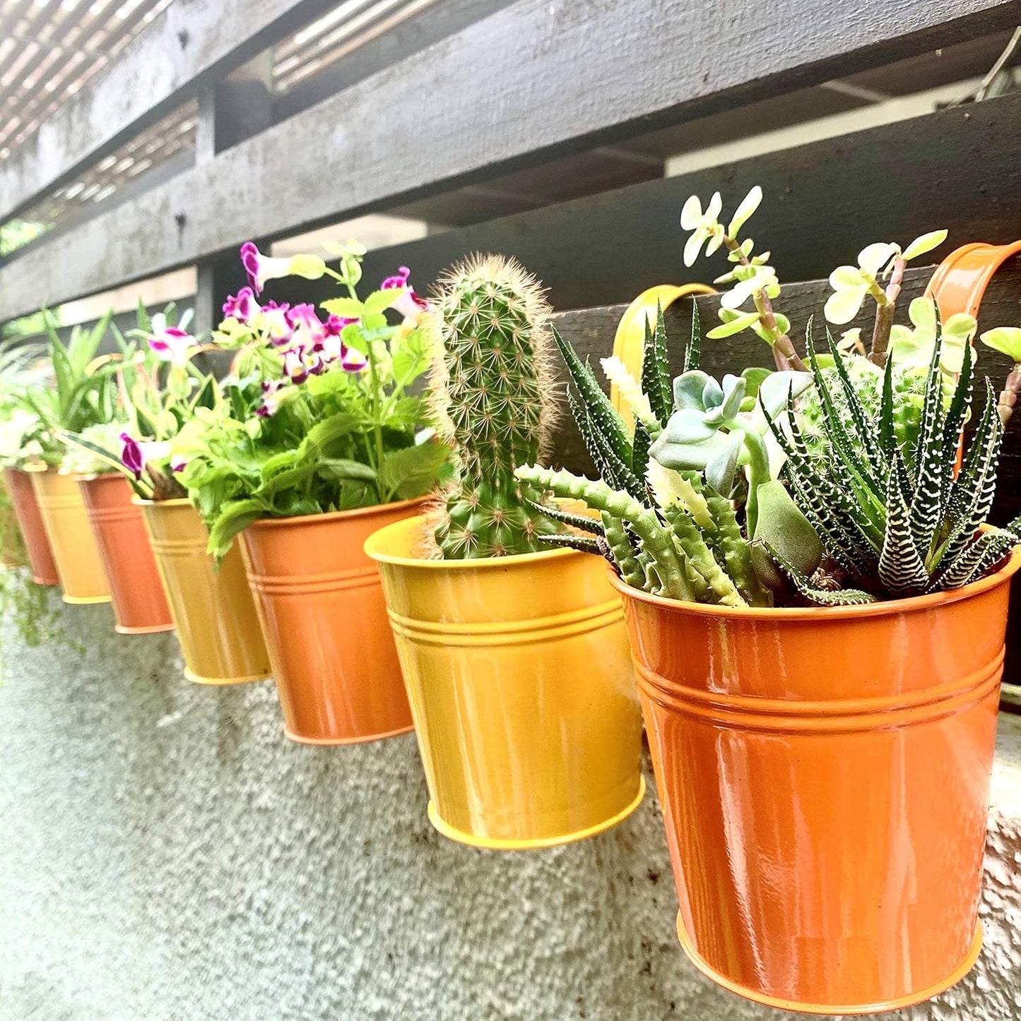 LaLaGreen Small Hanging Planters Outdoor - 10 Pack, 4 Inch Rainbow Planter Colorful Flower Pots Metal Iron, Rail Balcony Garden Deck Railing Plant Hanger Fence Wall, Herb Bucket Indoor Window Boxes