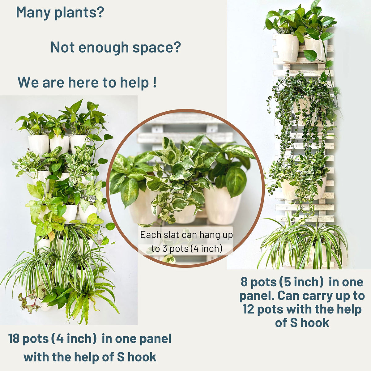 LaLaGreen White Wooden Ladder-Style Wall Plant Holders