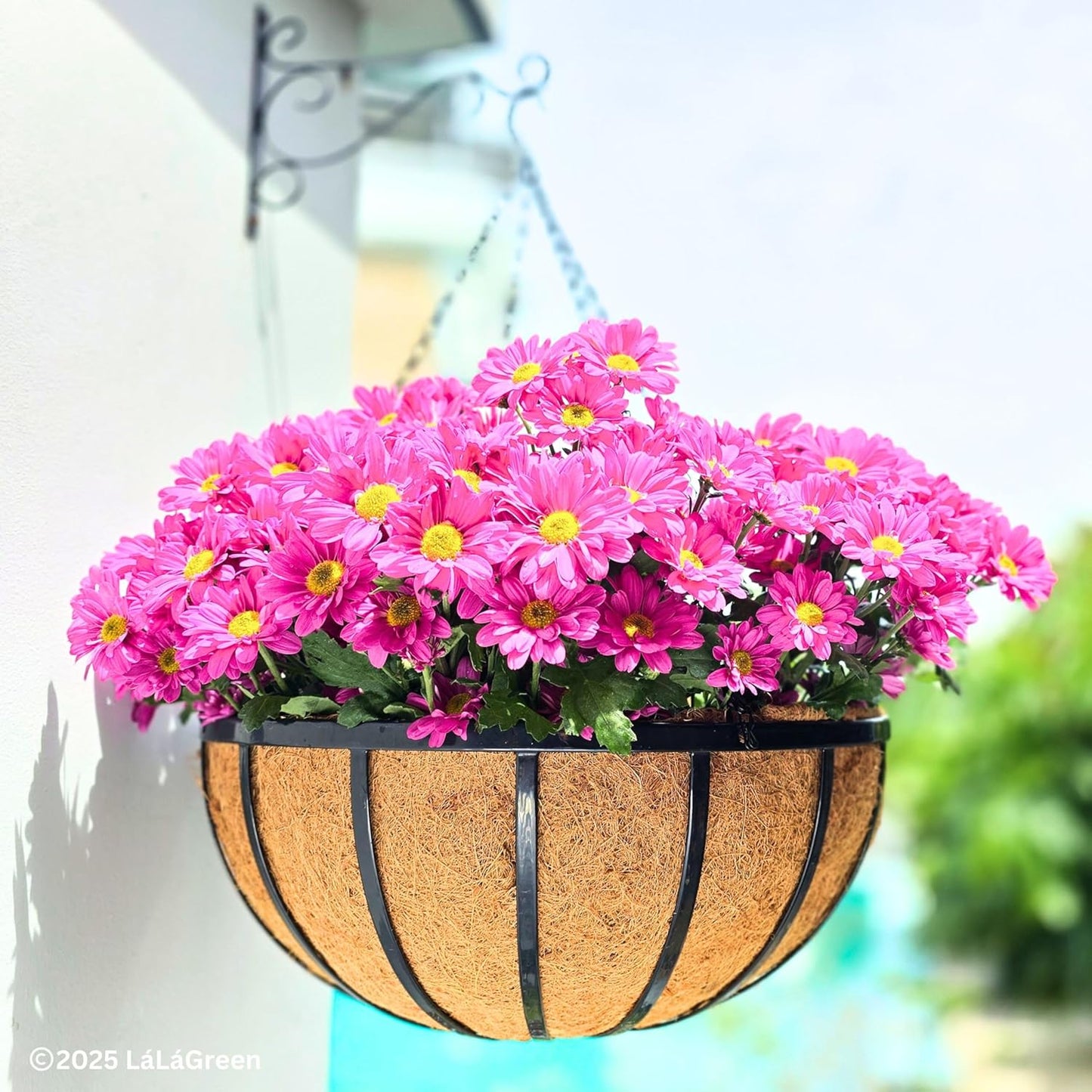 LaLaGreen Outdoor Hanging Baskets for Plants (20 Inch) Extra Large Black Metal Flat Iron Hanging Planter with Coco Liner Round Flower Pot Holder Hanger Deck Porch Modern Garden Balcony Country Decor