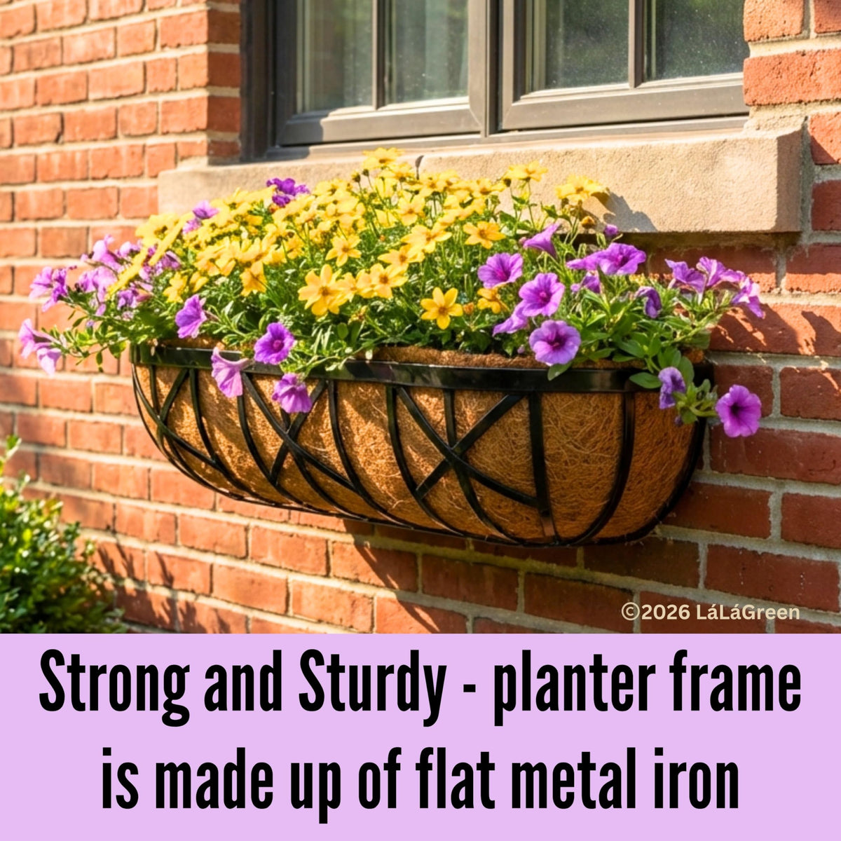 LaLaGreen Metal Wall Planter (30 in, 2 Pack) Black Window Box Holder