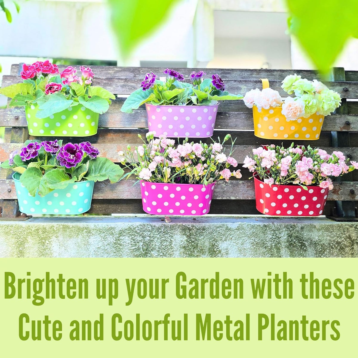 LaLaGreen Polka Dot Metal Railing Planter Boxes — 11.2 in
