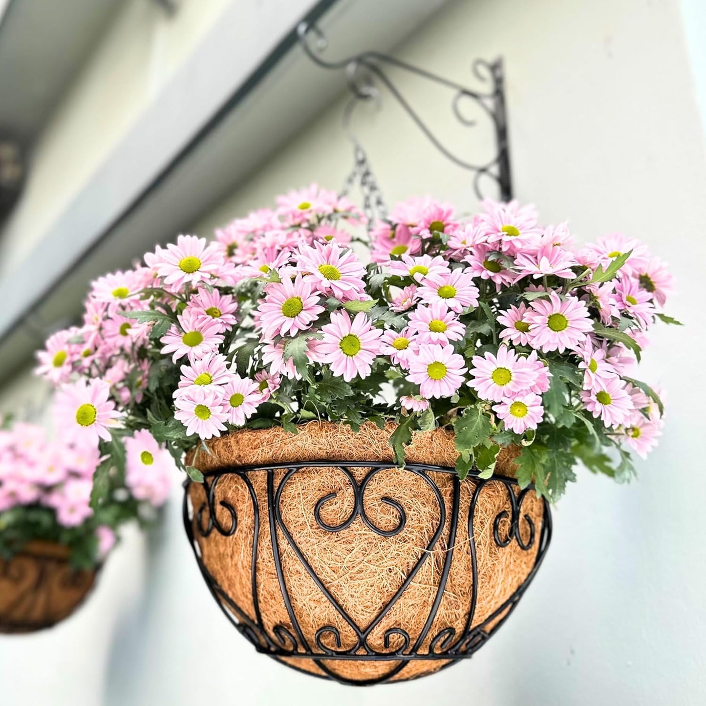 LaLaGreen Hanging Baskets for Plants (6 Pack, 16 Inch) Extra Large Hanging Flower Pot with Coco Liner Black Metal Wire Round Plants Holder with Hanger Hook Chain Outdoor Porch Patio Deck Balcony Decor