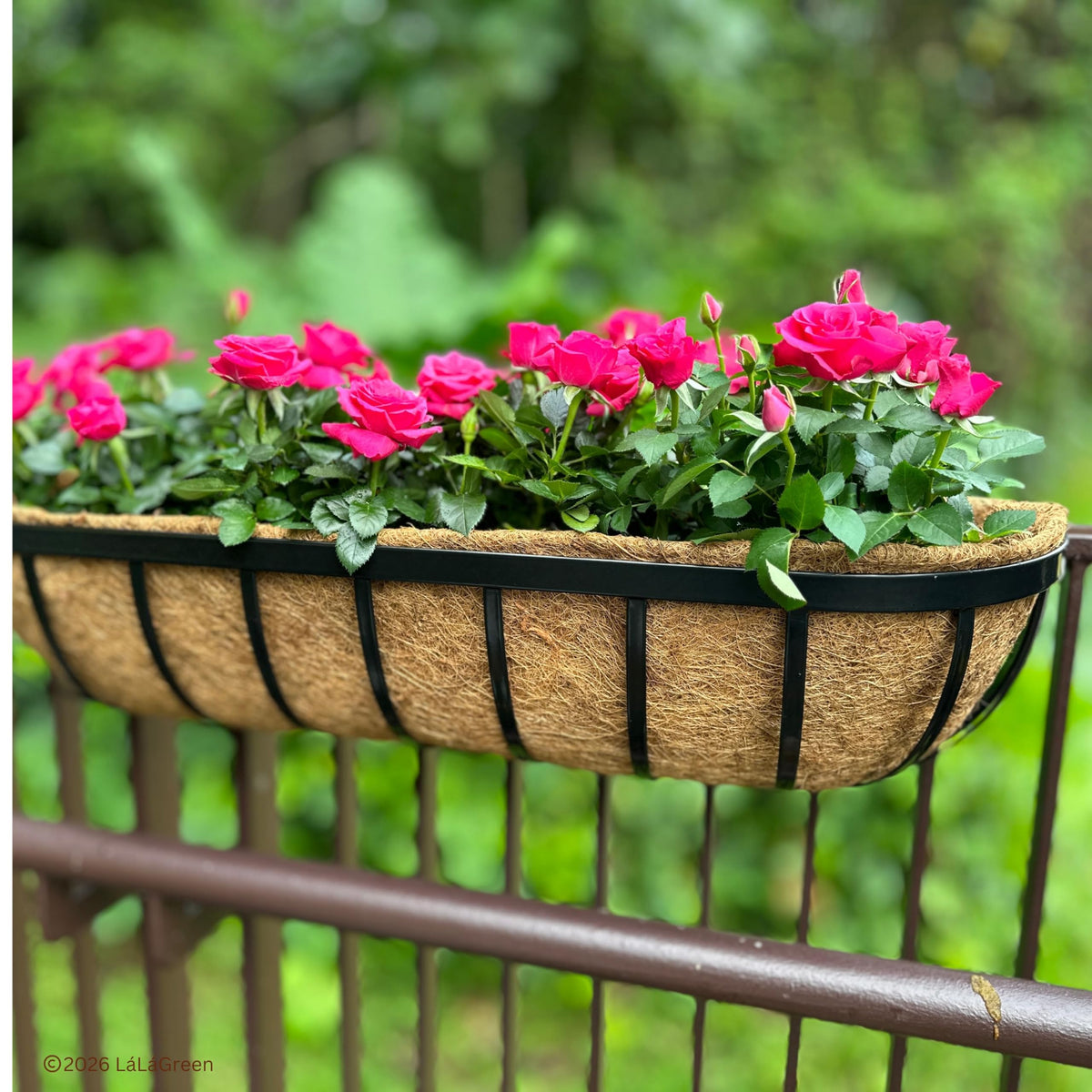 LaLaGreen Half-Round Rectangular Coconut Coir Replacement Liners