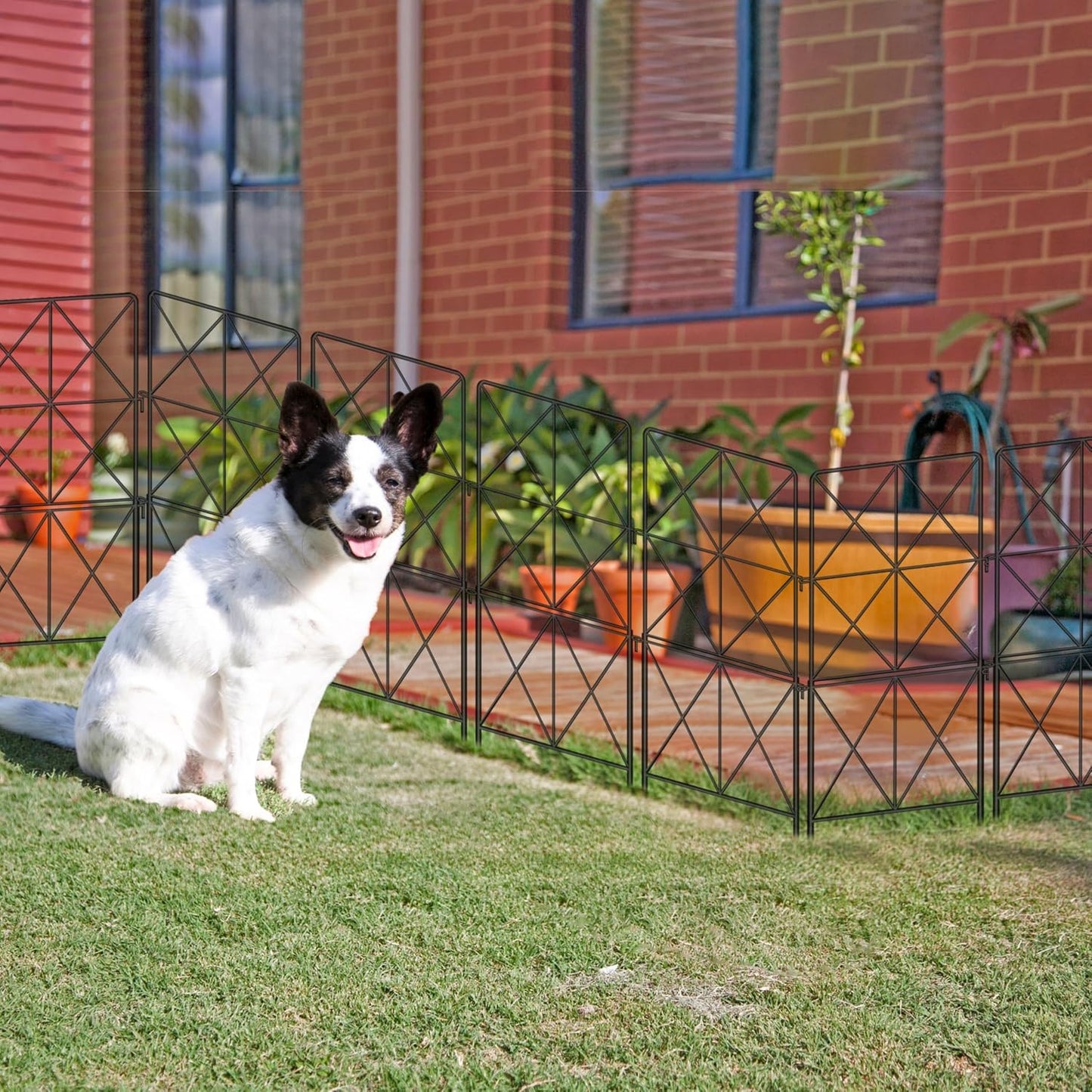 ShopLaLa Decorative Garden Fence (10 Panels) 12.5in(L) x 31in(H) Animal Barrier Fencing Rustproof Black Metal Wire Flower Edging for Landscape, Yard Gates Fences Tall Large No Dig Outdoor Decor D-F30B