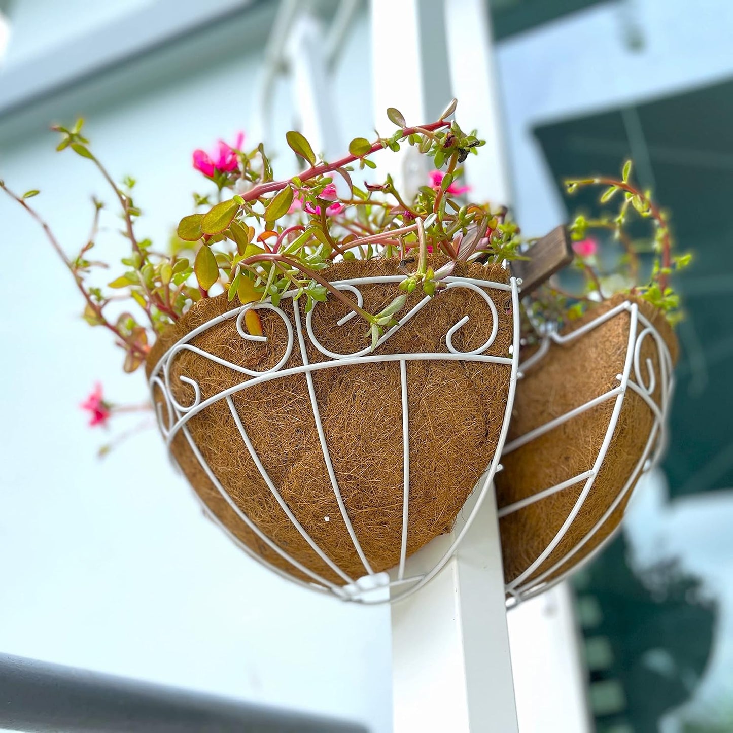 LaLaGreen Wall Mounted Flower Baskets (2 Pack, 16 Inch) Extra Large Deck Rail Hanging Planters with Coco Liner for Outdoor Plants White Metal Wire Herb Pots Holder Fence Railing Porch Patio Garden