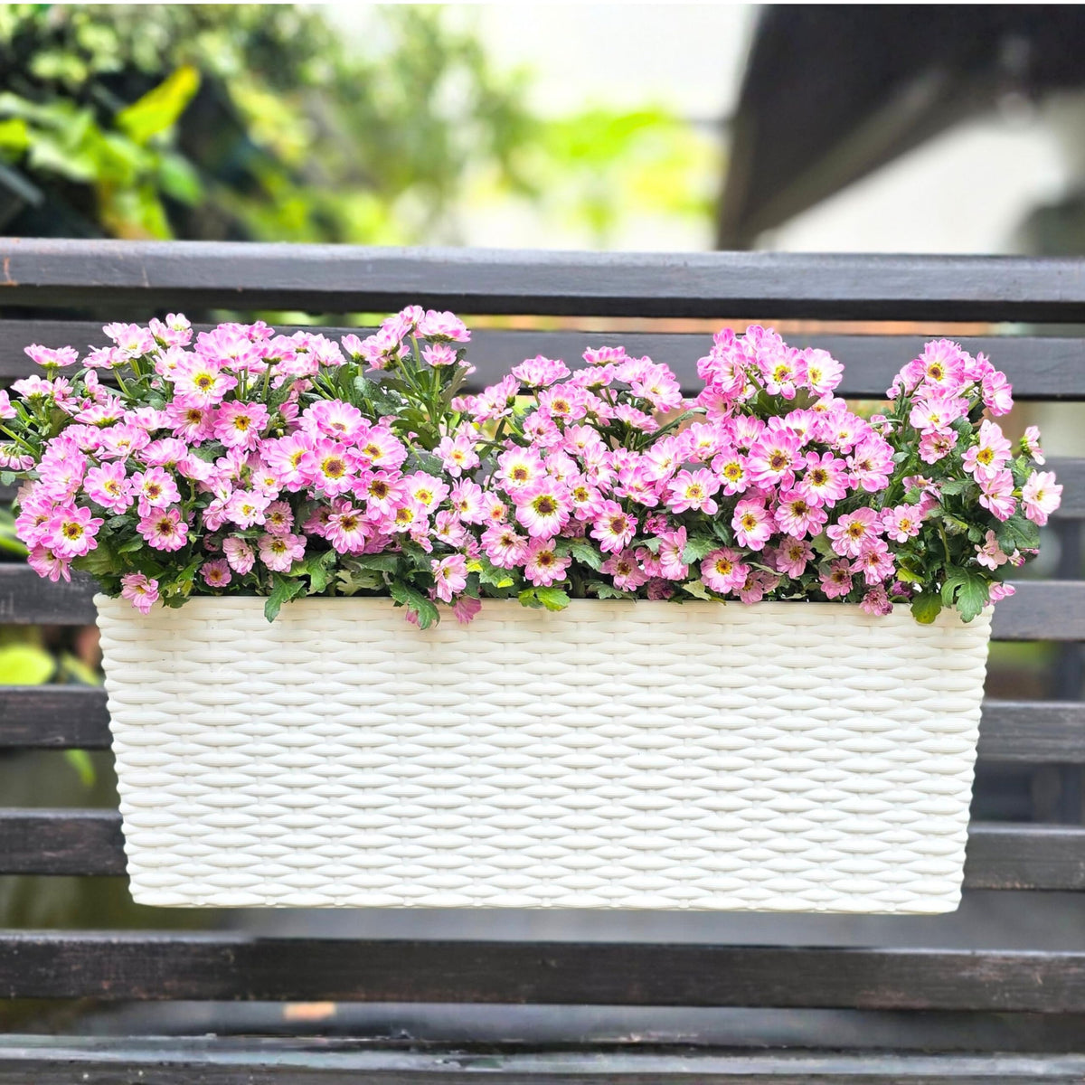 LaLaGreen Outdoor Rail Planter for Balcony (20 Inch, 1 Pack) Large White Self Watering Railing Planters with Brackets, Rectangular Plastic Fence Modern Window Boxes Designer Choice with Rattan Pattern