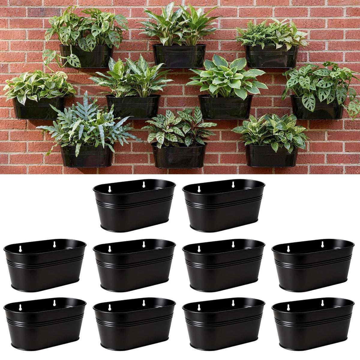 LaLaGreen Oval Metal Wall Planters