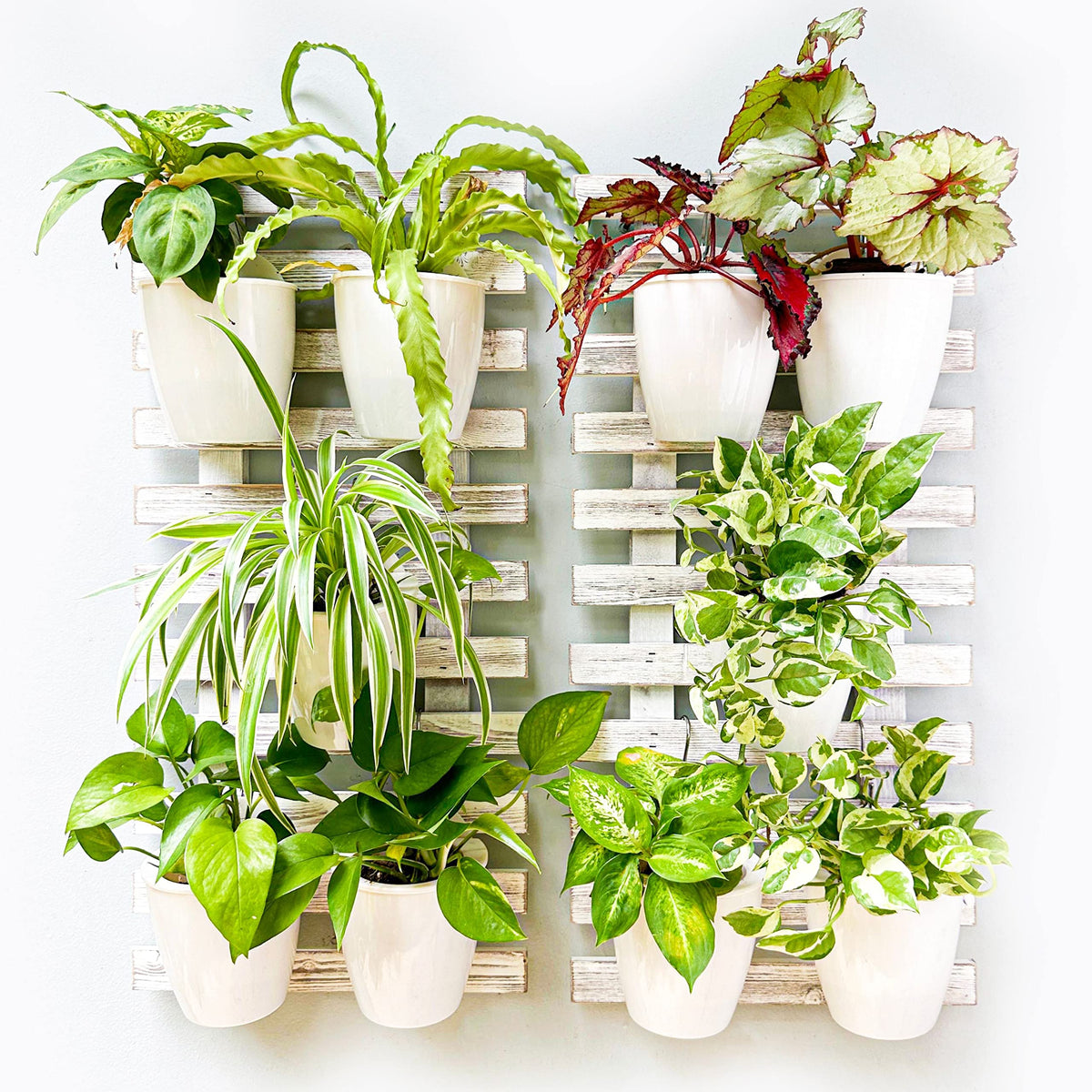 LaLaGreen White Wooden Ladder-Style Wall Plant Holders