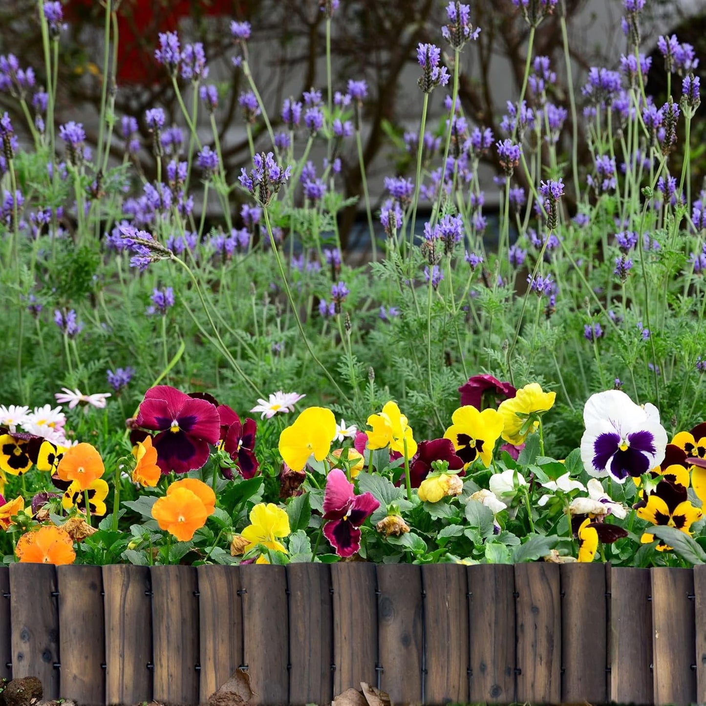 LaLaGreen Garden Edging Border (2 Pack, 36"x6") Small Wooden Fence Lawn Yard Landscape with Metal Stakes, Expandable Half Wood Brown Decorative Planting Tree Patio Path Flower Bed Outdoor Decor No Dig