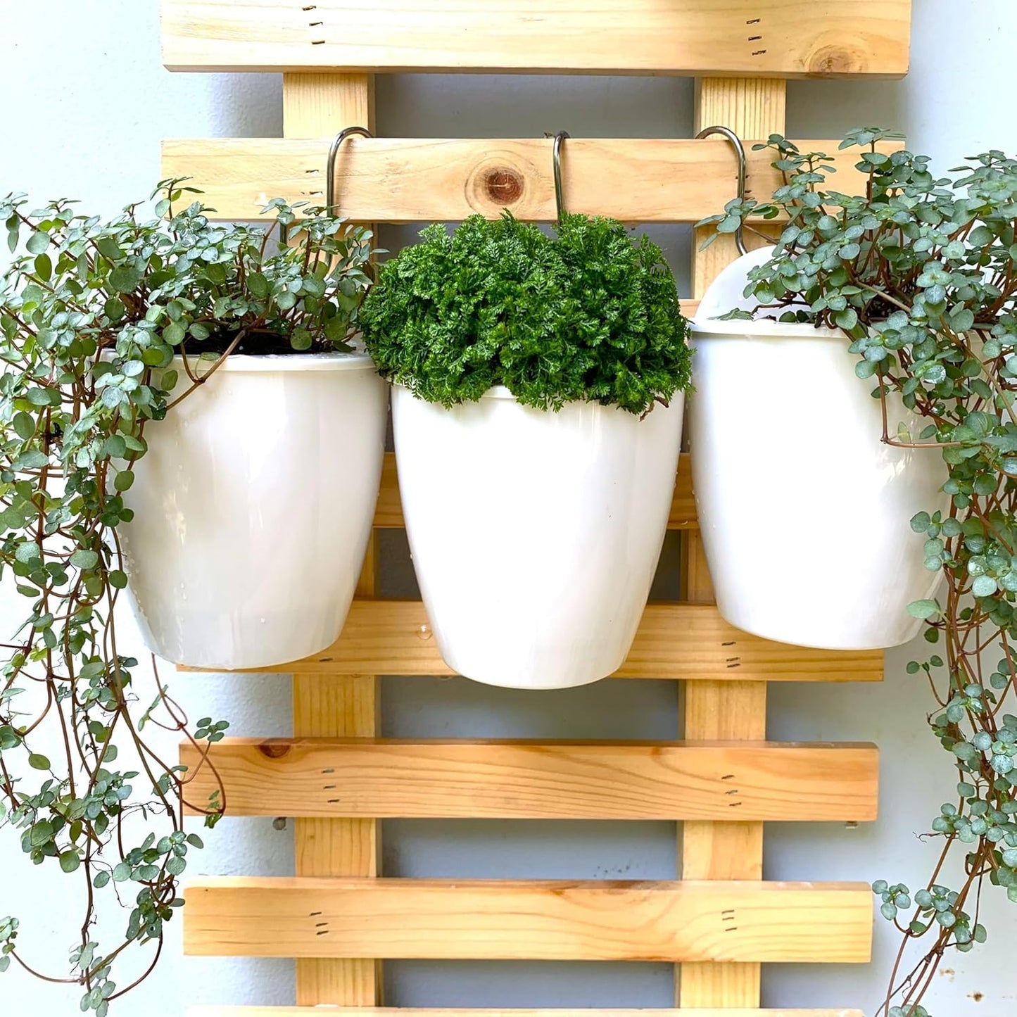 LaLaGreen Wall Planters for Indoor Plants - 10 Pack, 4 Inch Self Watering Plastic Planters and Pots, White Plant Holder, Modern Hydroponic Wall Pot Vertical System for Living Plant, Garden