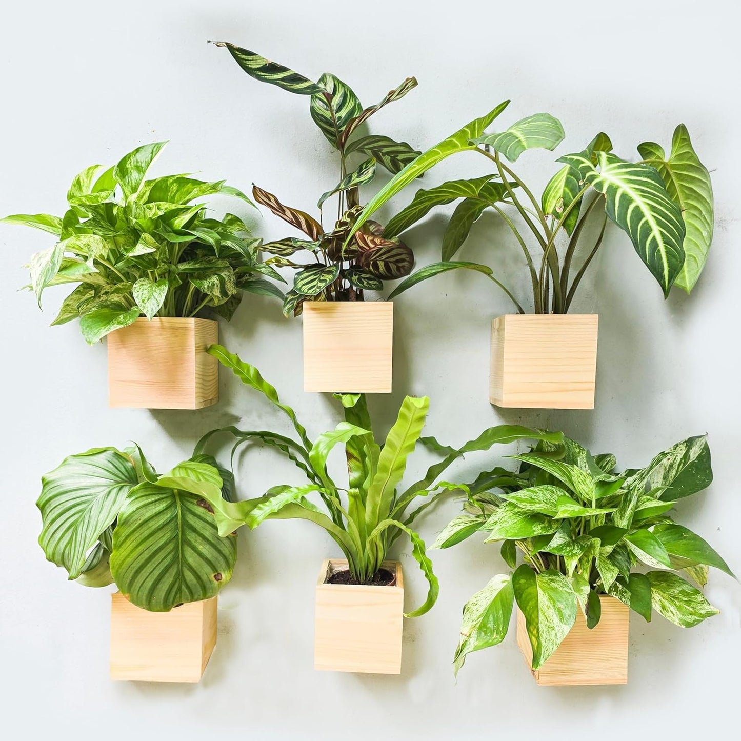 LaLaGreen Wooden Planter Box for Plants (2 Pack, 4x4 Inch) Small Square Wall Planters for Indoor Plant, Natural Wood Hanging Flower Pot Boxes Table Centerpiece Herb Balcony Home Garden Office Decor