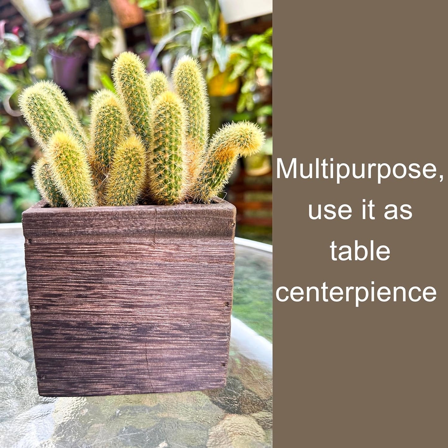 LaLaGreen Wood Planter Box for Plants (4x4 Inch, 2 Pack) Small Square Wall Planters for Indoor Plant, Window Hanging Flower Pot Wooden Boxes for Table Centerpiece Herb Balcony Home Garden Office Decor