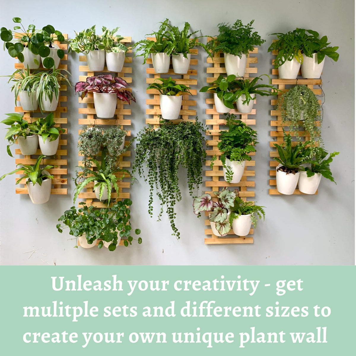 LaLaGreen Natural Wood Ladder-Style Wall Plant Holders