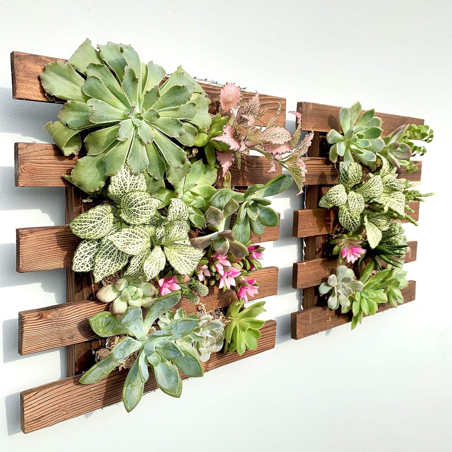 ShopLaLa Wall Planter – 3 Pack Wooden Hanging Planter for Indoor Plants, Air Plant Succulent Holder, Live Vertical Garden Large Wall Mounted Plant Stand Decor for Christmas 15.7 + 23.6 + 35.4 Inch