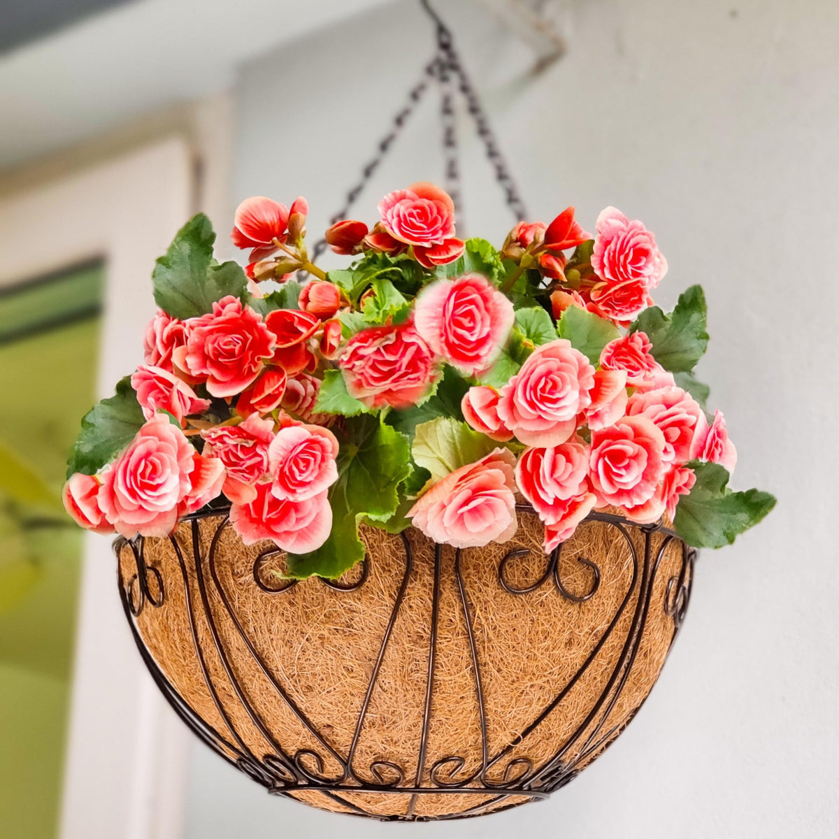 LaLaGreen Metal Wire Hanging Baskets with Coco Liners (Heart)