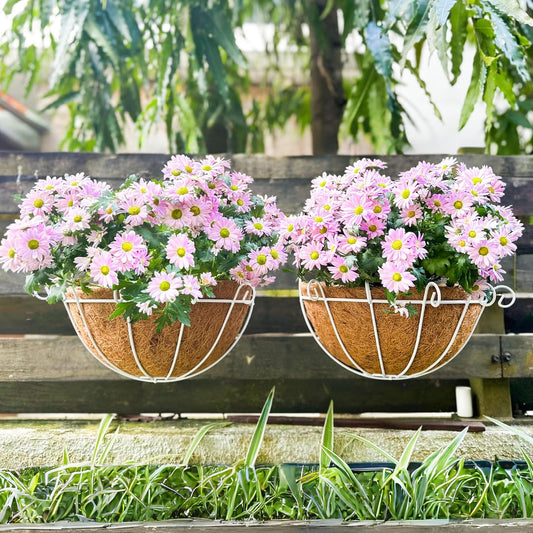 ShopLaLa Wall Hanging Planter for Outdoor (2 Pack, 12 Inch) White Metal Wall Mounted Flower Baskets with Coco Liner Fence Railings Plant Pots Holder Balcony Deck Porch Decoration Garden Outside Decor