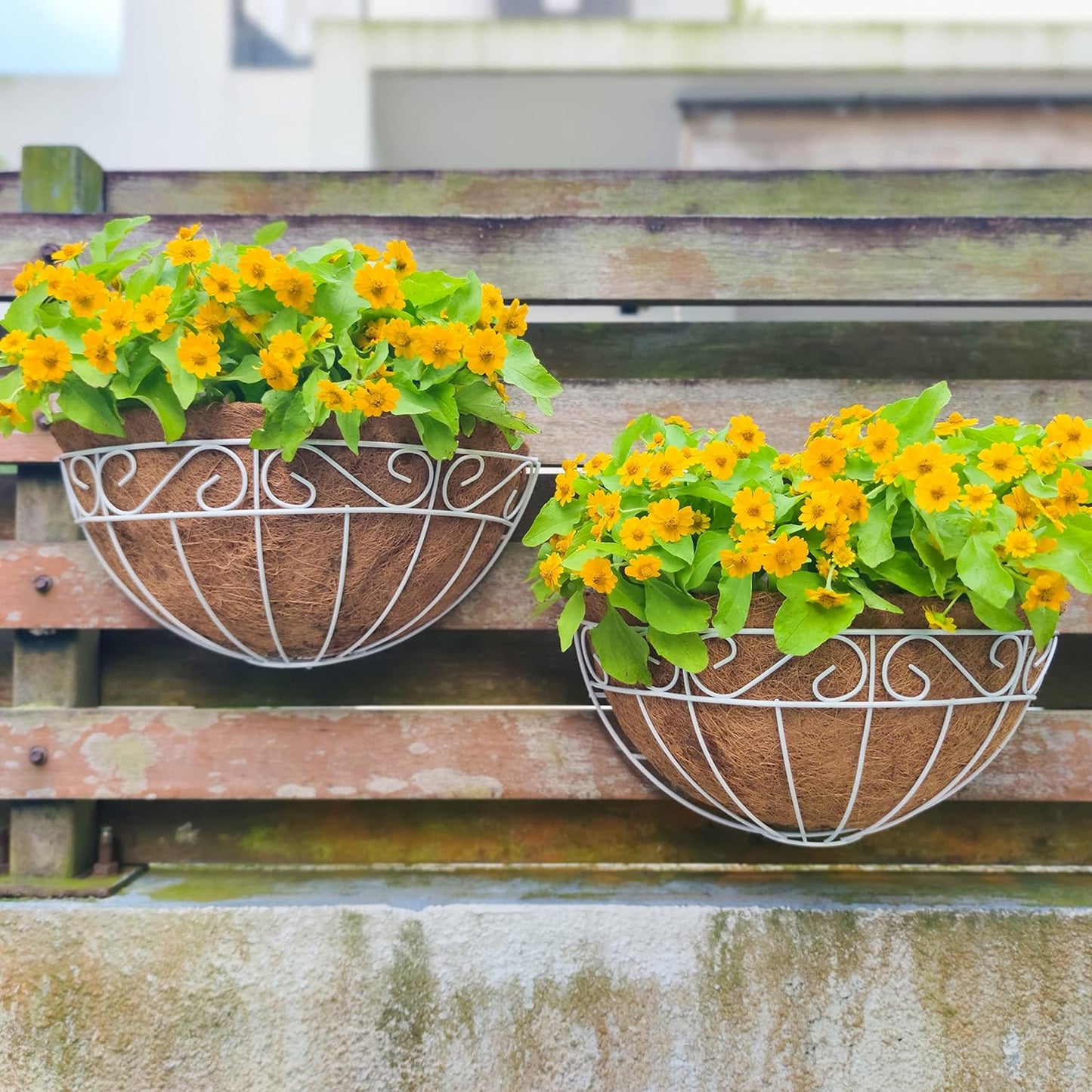 LaLaGreen Wall Mounted Flower Baskets (2 Pack, 16 Inch) Extra Large Deck Rail Hanging Planters with Coco Liner for Outdoor Plants White Metal Wire Herb Pots Holder Fence Railing Porch Patio Garden
