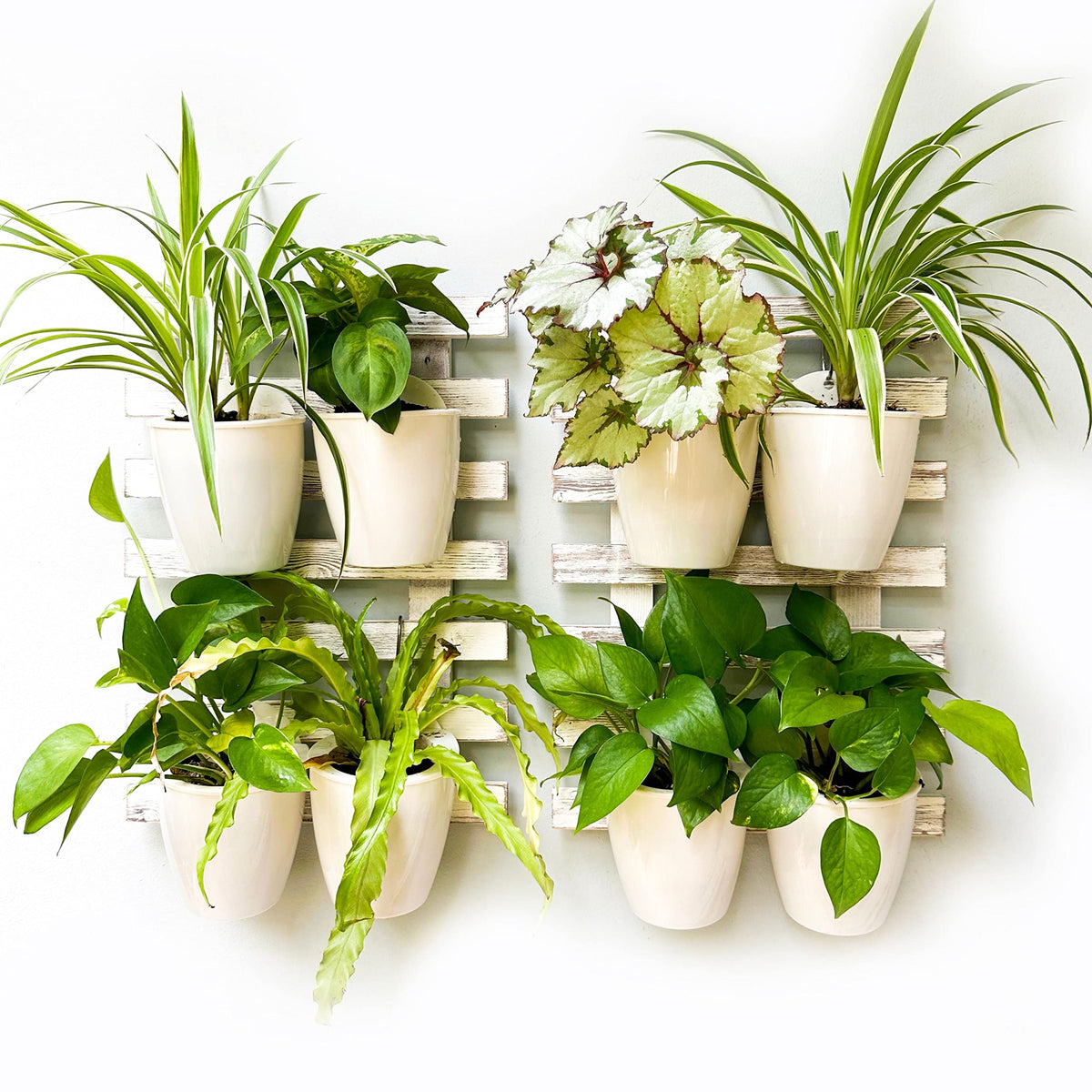 LaLaGreen White Wooden Ladder-Style Wall Plant Holders