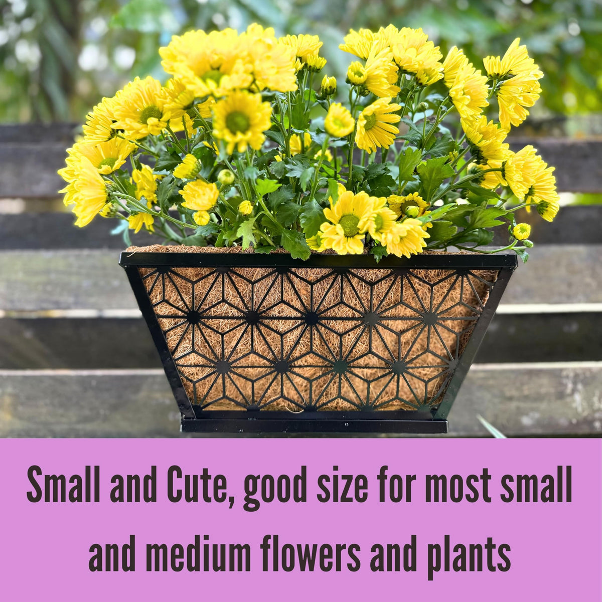 LaLaGreen Flower Wall Planter (12 in, 2 Pack) Black Fence Window Box
