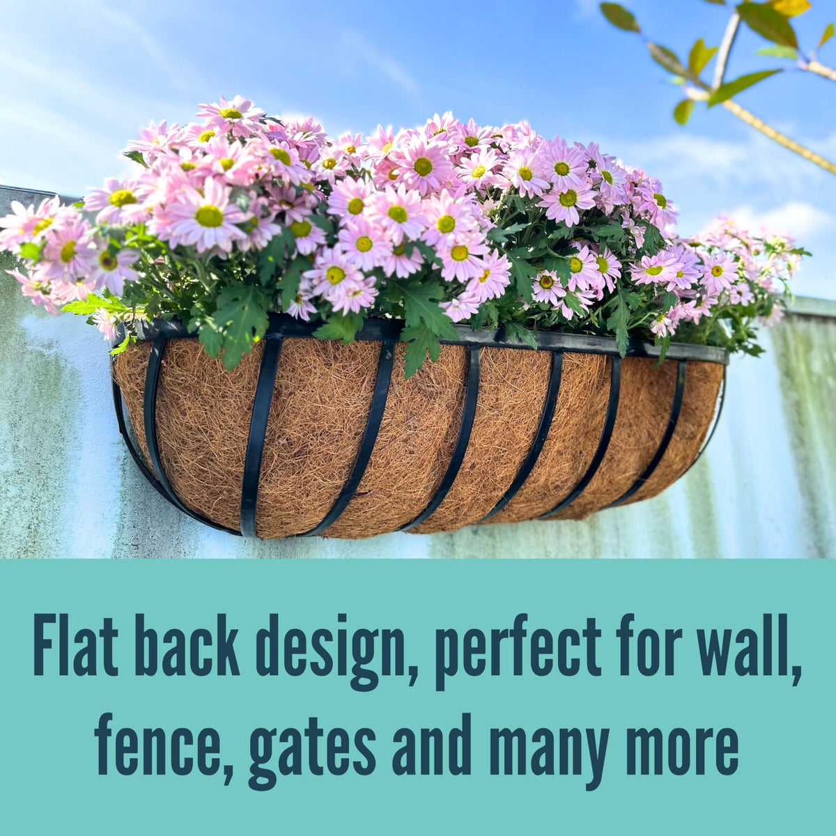 LaLaGreen Black Metal Wall Planter (24 in, 8 Pack) Window Flower Box Holder