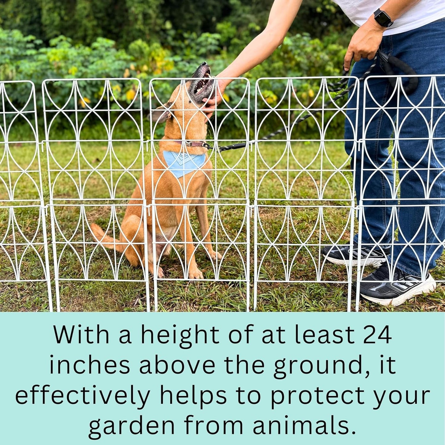 ShopLaLa Decorative Garden Fence (10 Panels) 12.5in(L) x 31in(H) Animal Barrier Fencing Rustproof White Metal Wire Flower Edging for Landscape, Tall Large No Dig Fences Back Yard Pet Porch Gate D-F30D