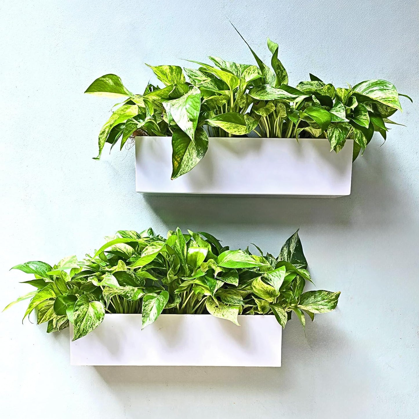 LaLaGreen Wall Planter (16 Inch, 2 Pack) Carbon Steel White Metal Hanging Flower Pot for Succulents, Wall Mount Rectangular Window Sill Box Fence Floating Garden Shelf for Deck Indoor Outdoor Decor