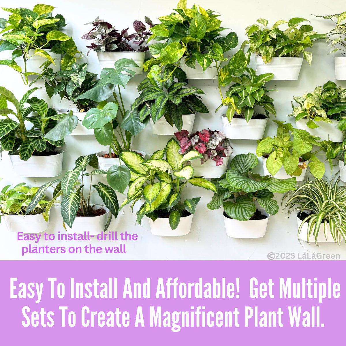 LaLaGreen Oval Metal Wall Planters