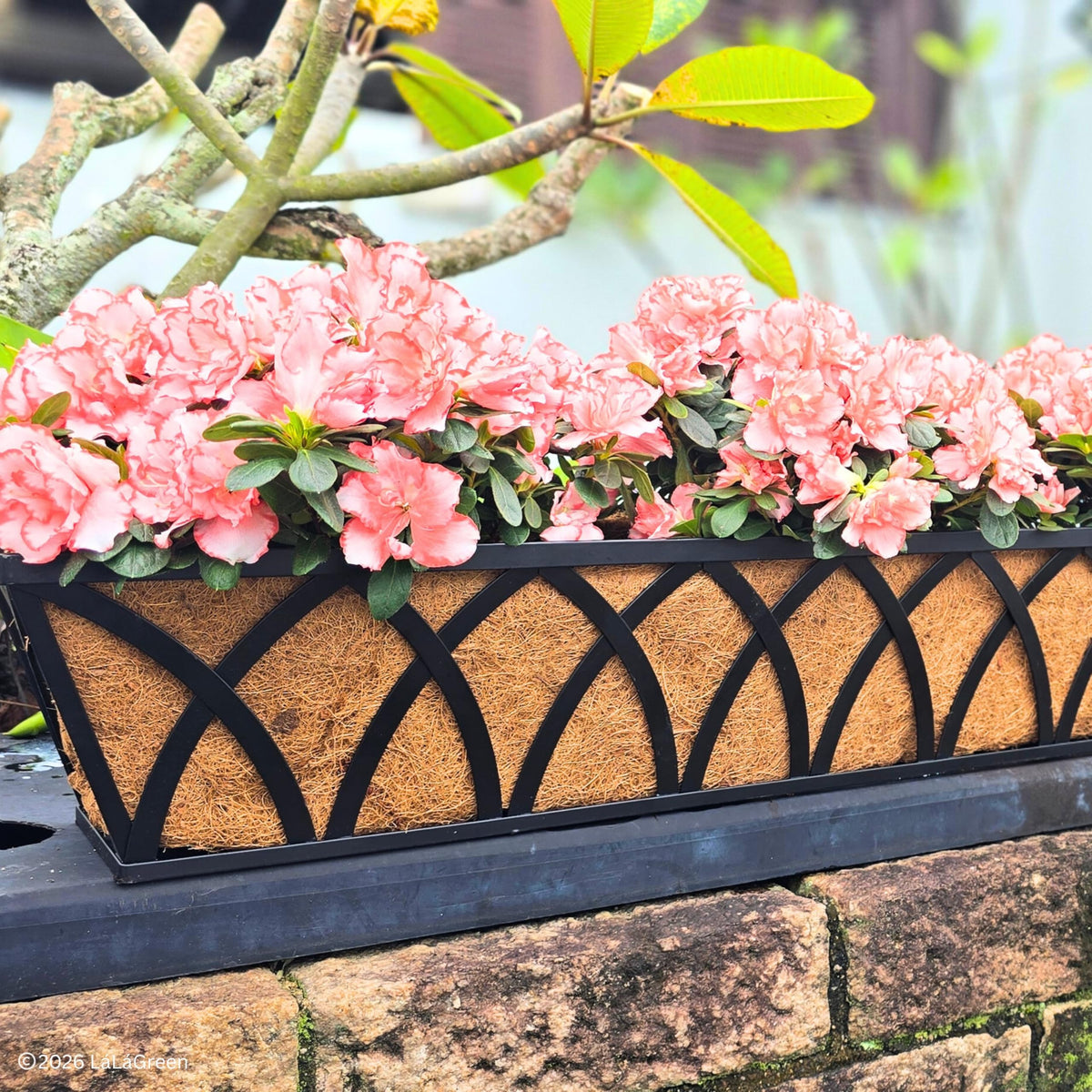 LaLaGreen Rectangular Coconut Coir Replacement Liners for Window Boxes