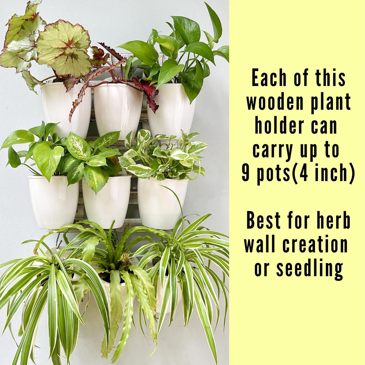 LaLaGreen White Wooden Ladder-Style Wall Plant Holders