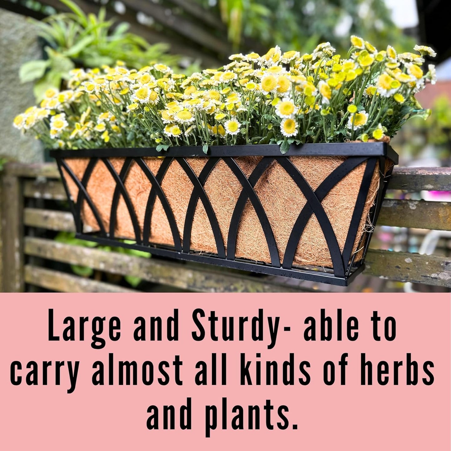 LaLaGreen Wall Planter (2 Pack, 24 Inch) Large Wall Hanging Planter Coco Liner Metal Iron Window Flower Boxes Outdoor Basket Box Attach House Outside Fence Rail Railing Plant Holder Deck Porch Balcony