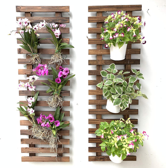 ShopLaLa Wall Planter – Hanging Planter for Indoor Plants, Plant Stand, Air Plant Succulent Holder, Vertical Garden. Large Wall Decor for Living Room, Room Decor for Teens