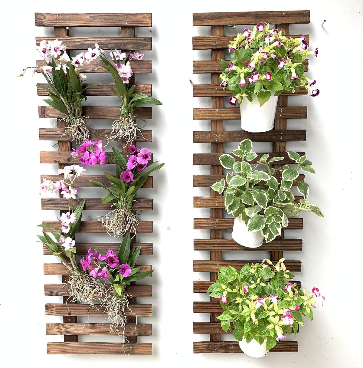 LaLaGreen Wooden Wall Plant Holders — Natural Wood