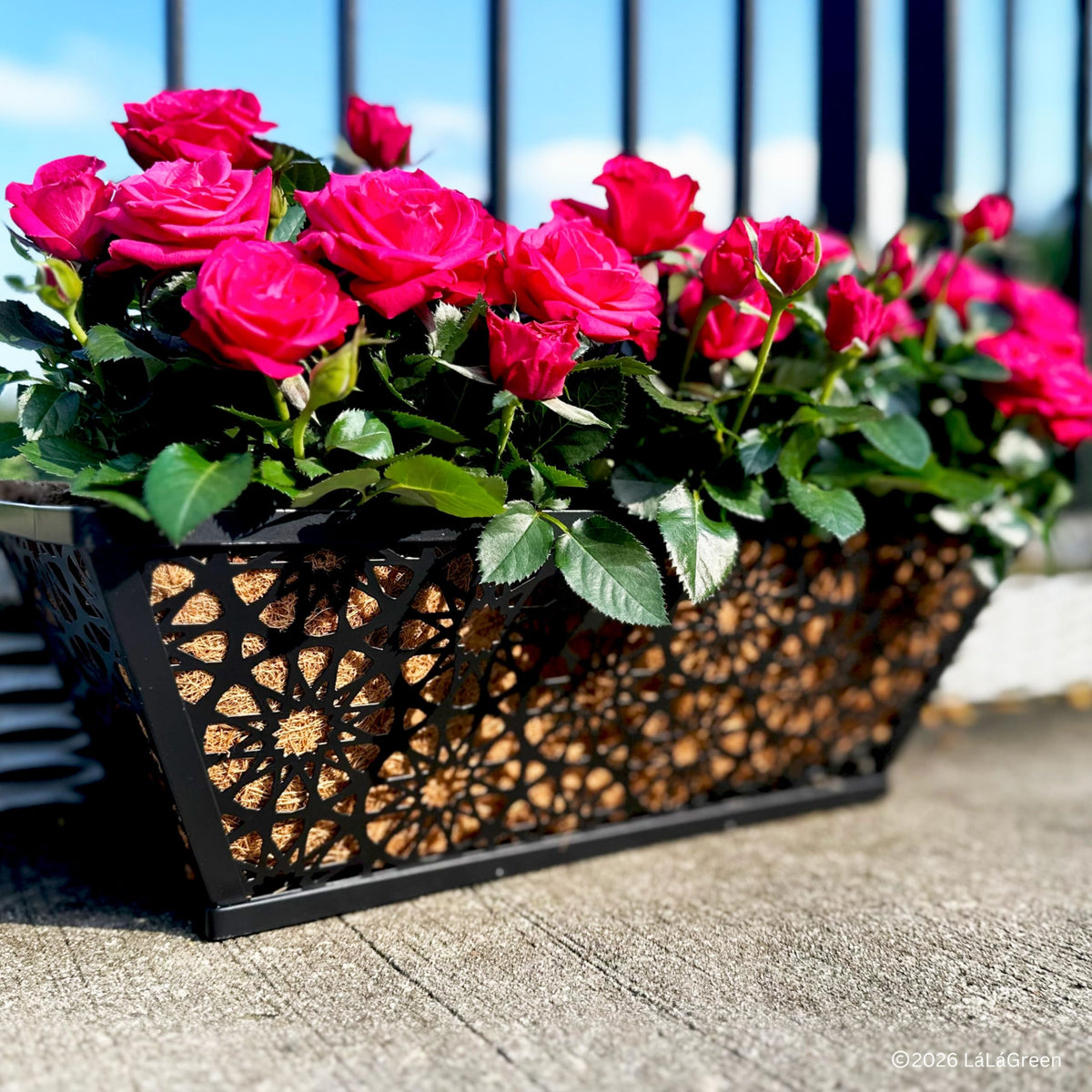 LaLaGreen Rectangular Coconut Coir Replacement Liners for Wall Planters