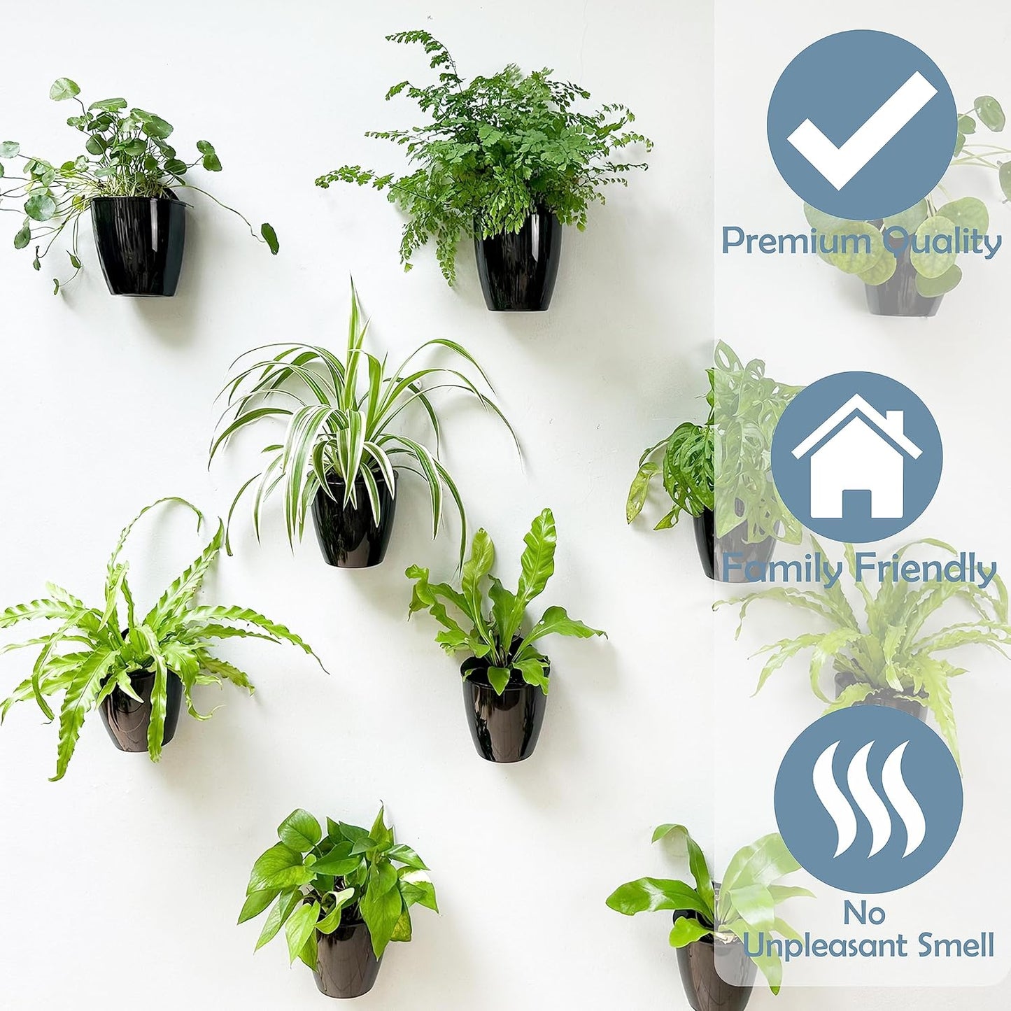 LaLaGreen Wall Planters for Indoor Plants - 10 Pack, 4 Inch Black Self Watering Pots Modern Indoor Hydroponic Vertical Live Garden Wall Mounted Hanging Plant Holder