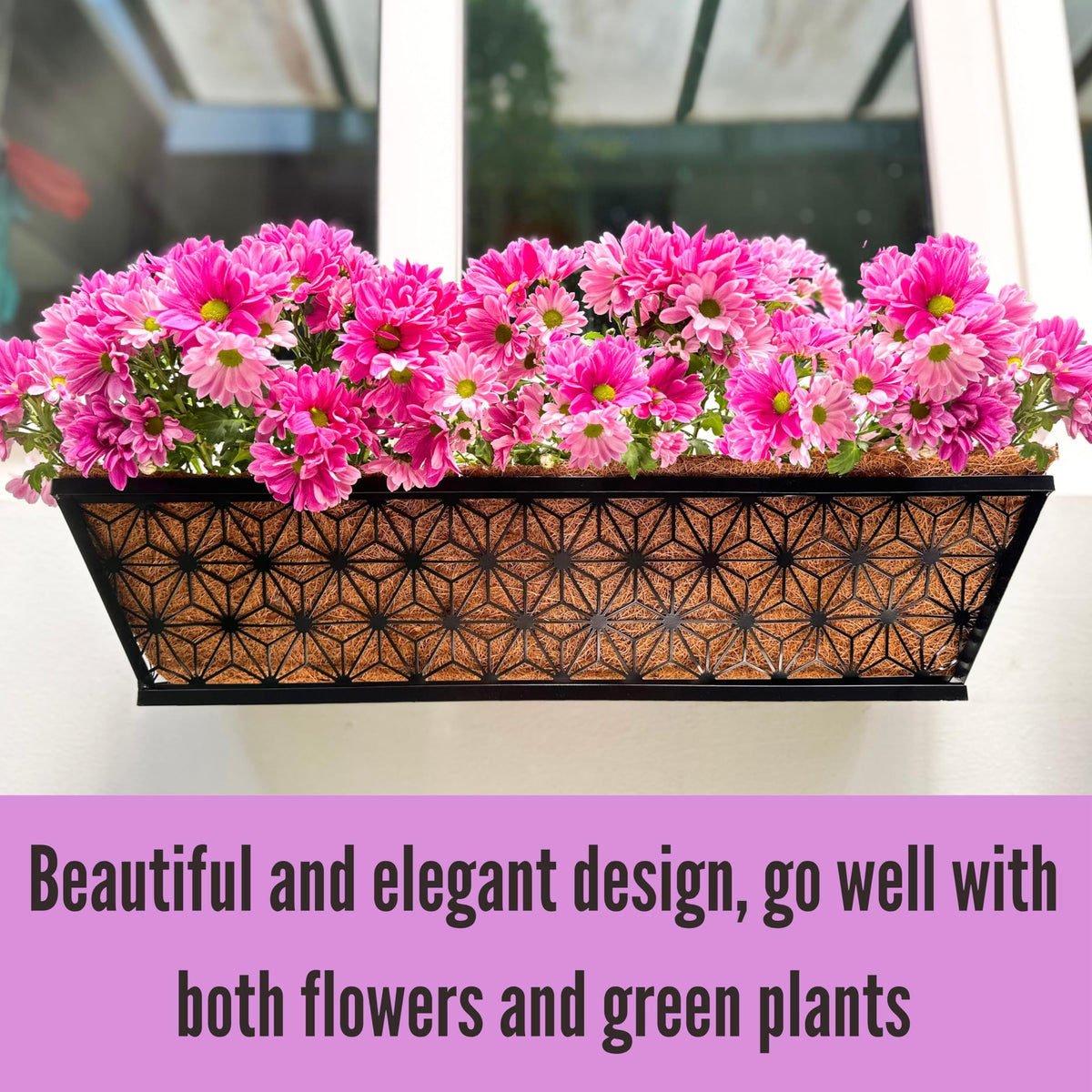 LaLaGreen Flower Wall Planter (12 in, 2 Pack) Black Fence Window Box