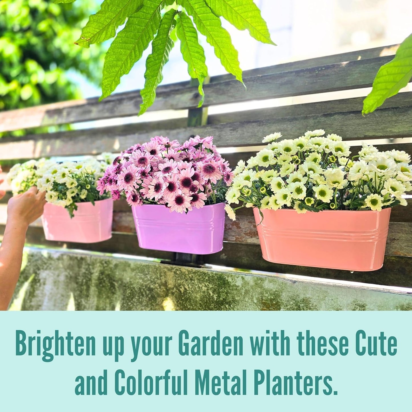 LaLaGreen Outdoor Hanging Planter (11.2 Inch, 6 Pack) Light Pink, Light Purple, Turquoise, Light Blue, Peachy Pink, Cadet Blue Metal Iron Window Flower Pot Deck Railing Balcony Fence Rail Garden Decor