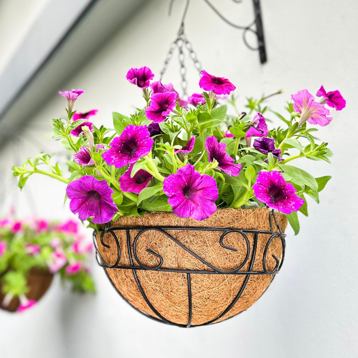 LaLaGreen Hanging Planter for Outdoor Plants (20 in, 2 Pack) Black Pots