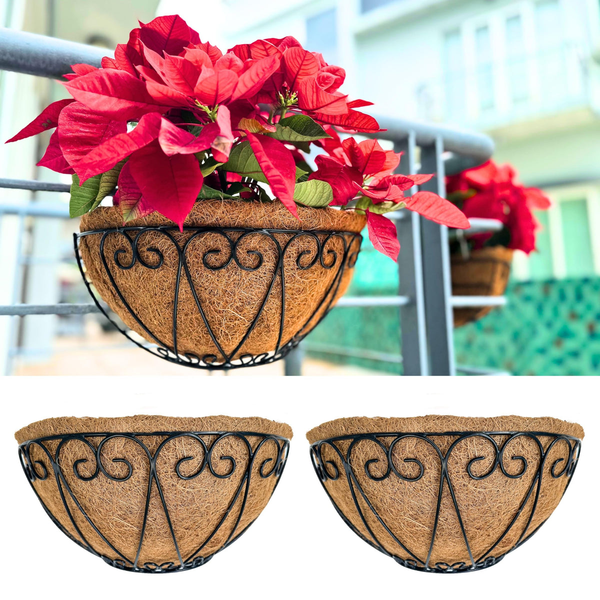 LaLaGreen Wall Planters for Plants (12 in, 2 Pack) Black Coco Liner Baskets