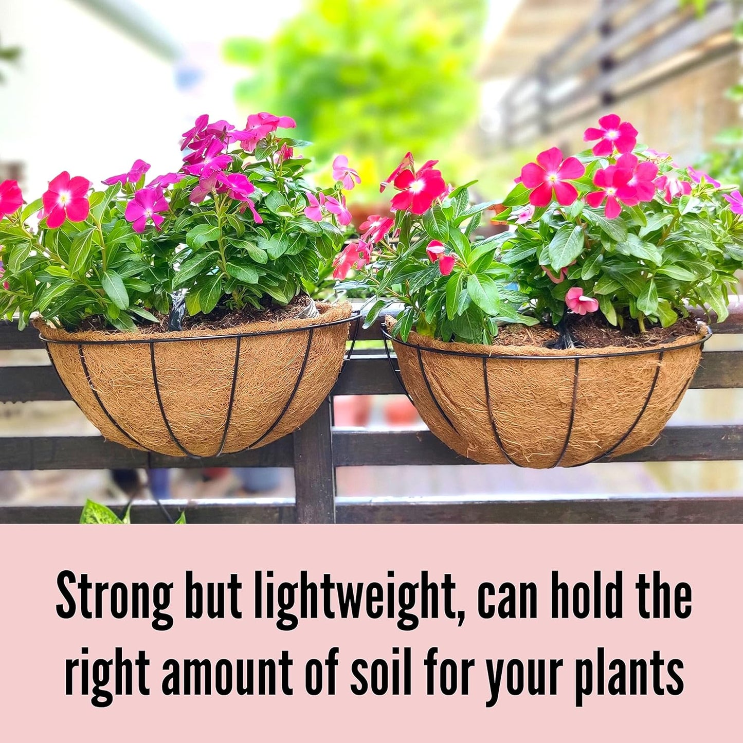 LaLaGreen Wall Hanging Planters for Plants (6 Pack, 12 Inch) Wall Mounted Flower Baskets with Coco Liner, Black Metal Iron Wire Plant Holder for Outdoor Fence Railing Outside Deck Porch Balcony Garden