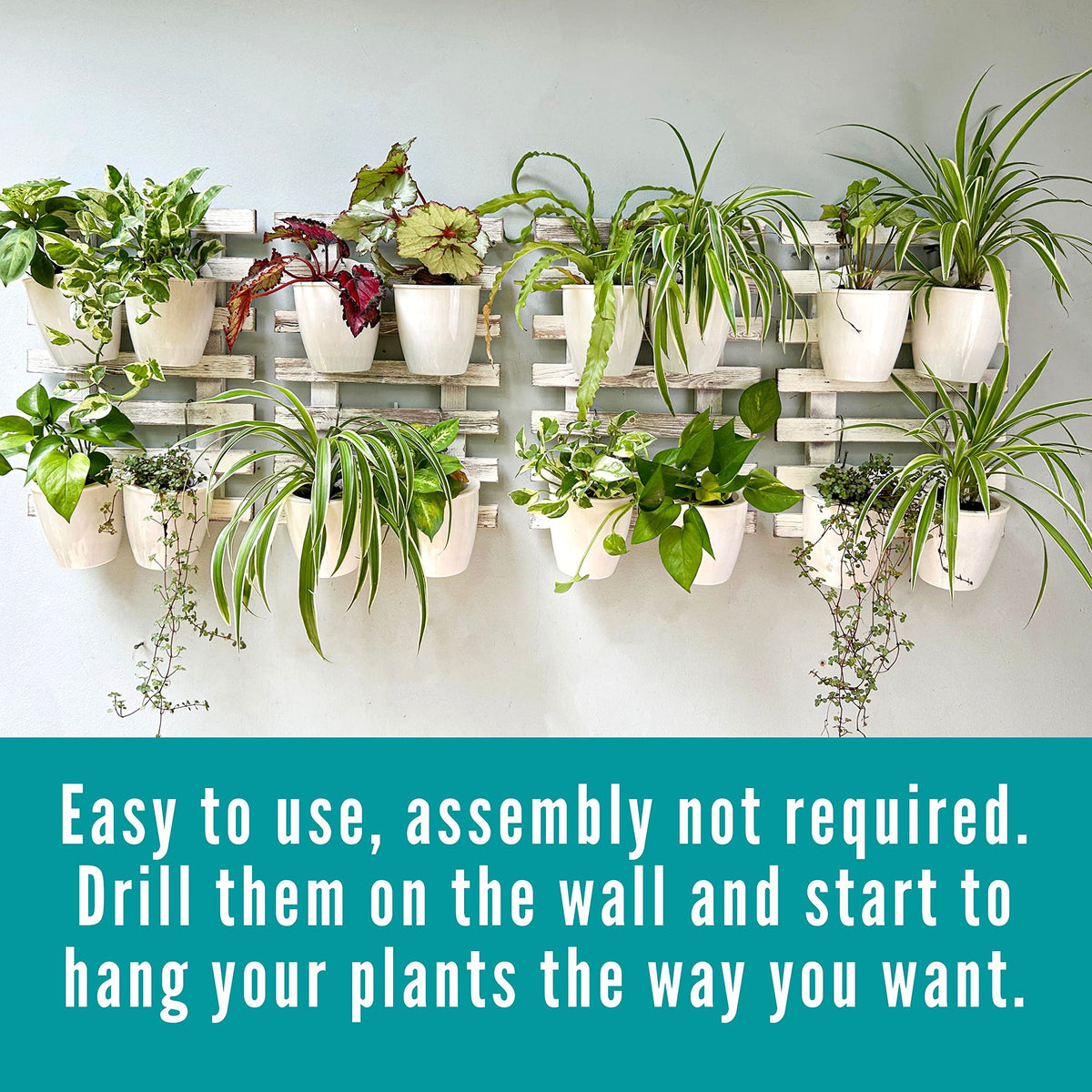 LaLaGreen White Wooden Ladder-Style Wall Plant Holders
