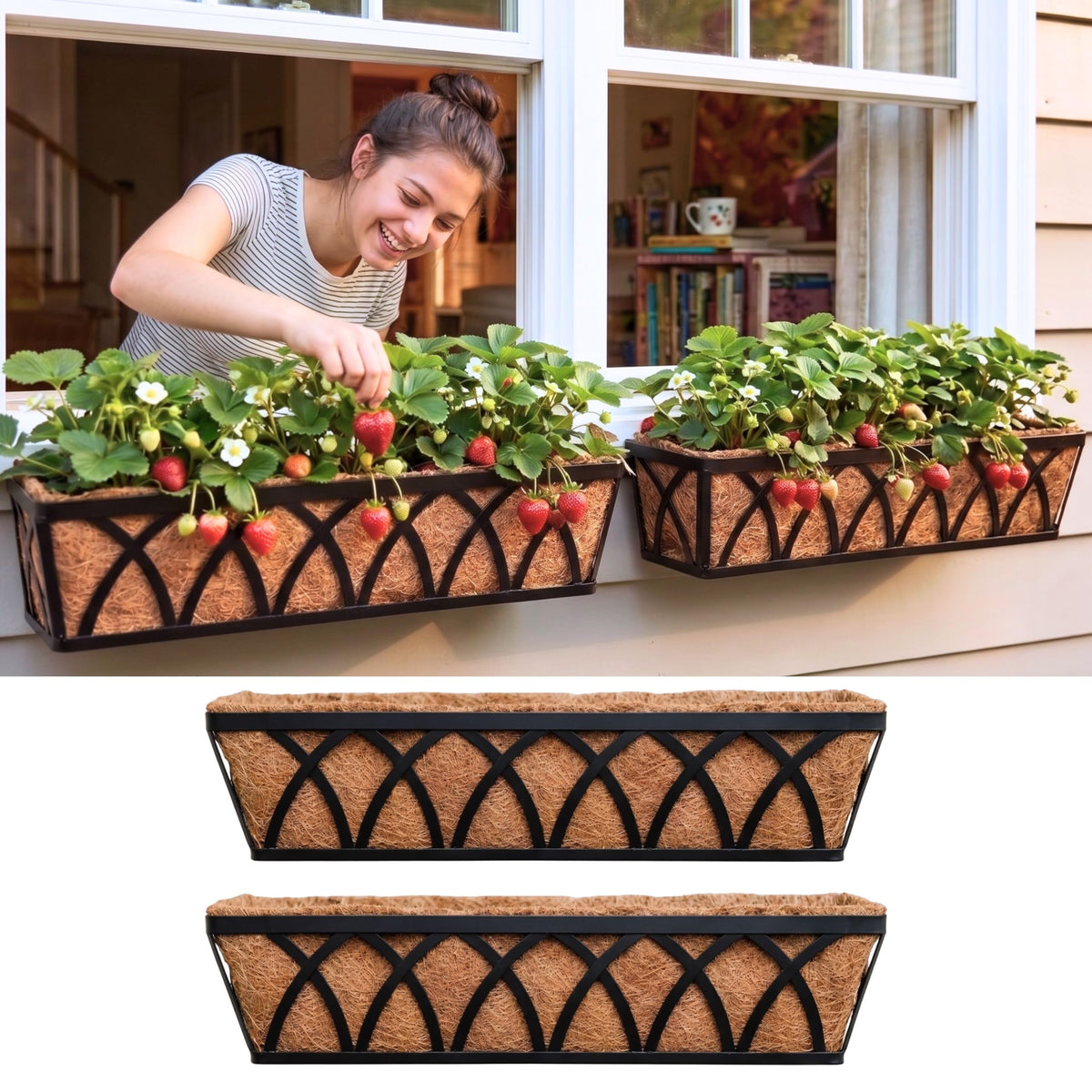 LaLaGreen Wall Planter (2 Pack, 24 Inch) Large Wall Hanging Planter Coco Liner Metal Iron Window Flower Boxes Outdoor Basket Box Attach House Outside Fence Rail Railing Plant Holder Deck Porch Balcony