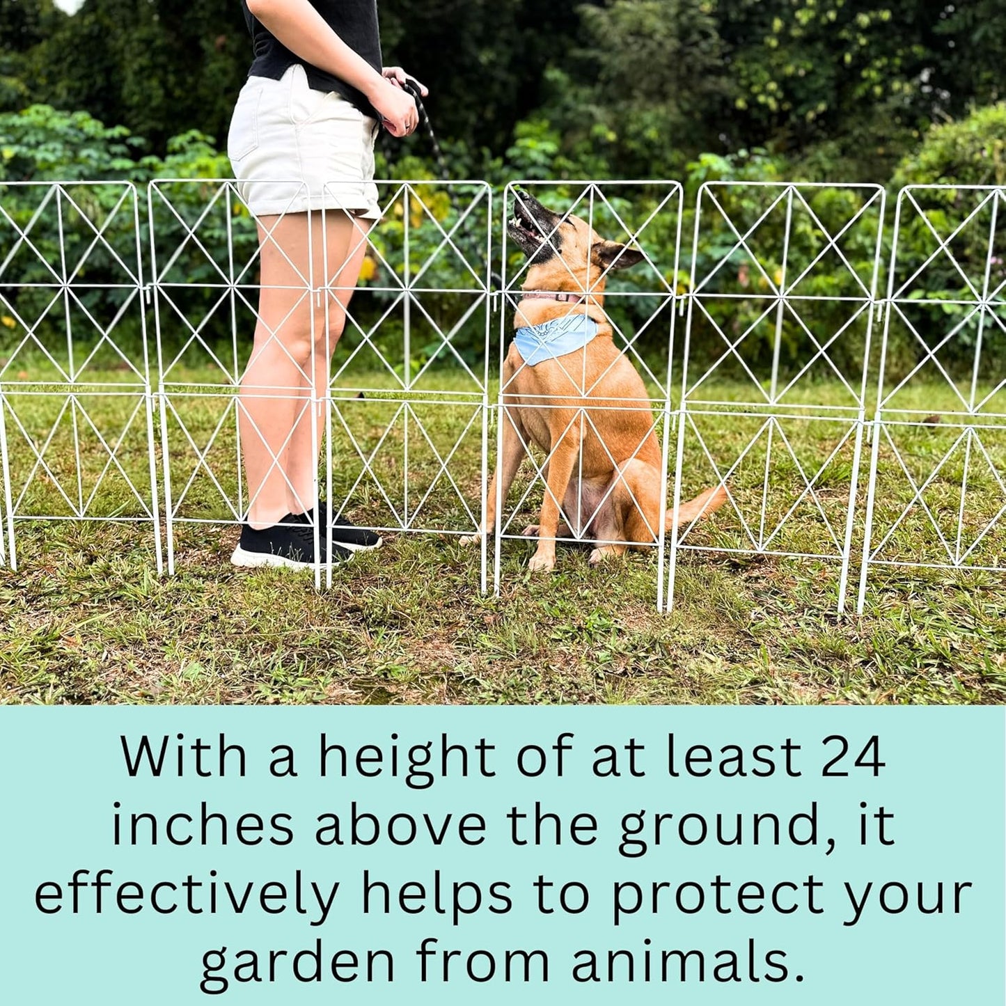 ShopLaLa Decorative Garden Fence (10 Panels) 12.5in(L) x 31in(H) Animal Barrier Fencing Rustproof White Metal Wire Flower Edging for Landscape, Dog Yard Gates Fences Tall No Dig Outdoor Decor D-F30B