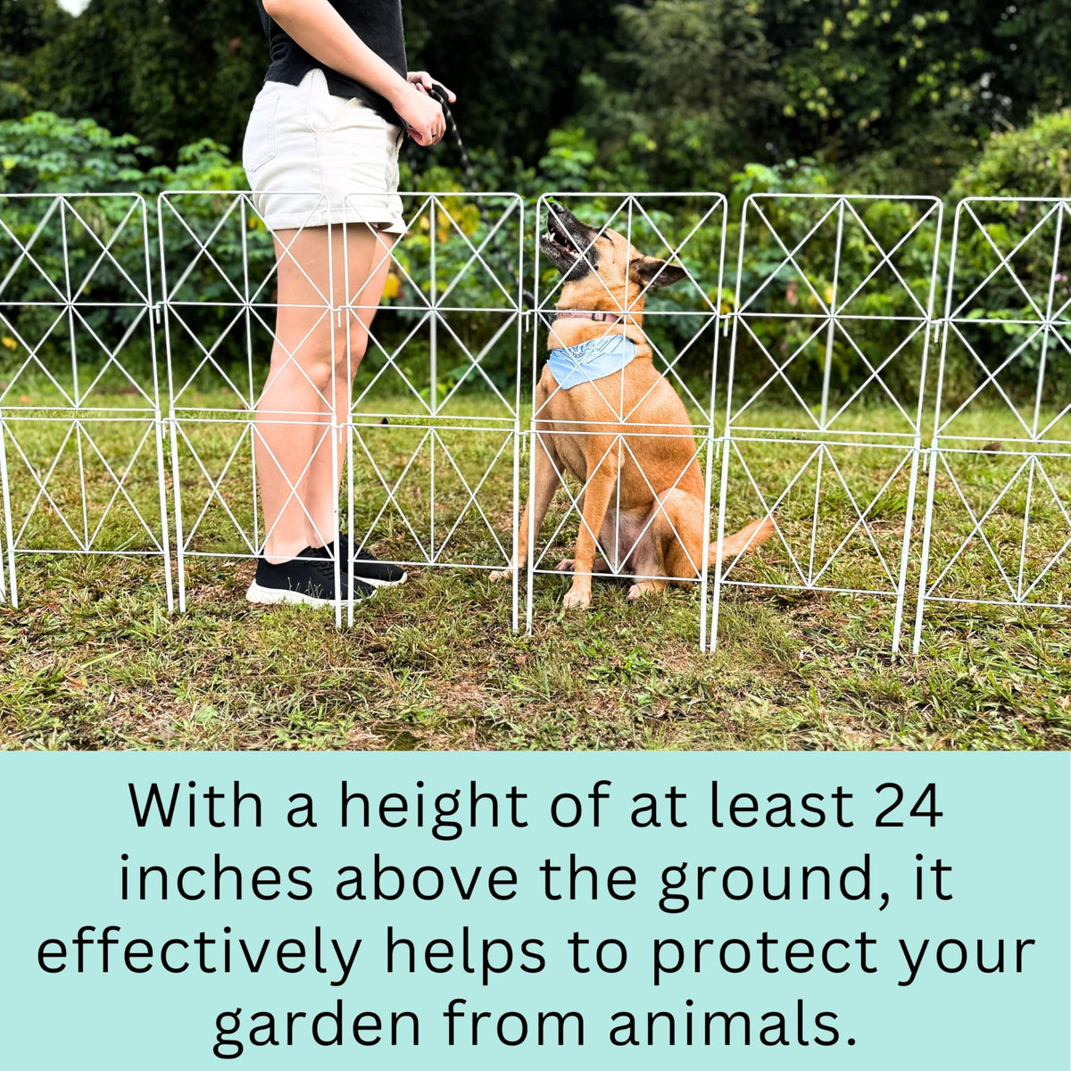ShopLaLa Decorative Metal Fence (10 Panels) 12.5inx31in Fences for Dog