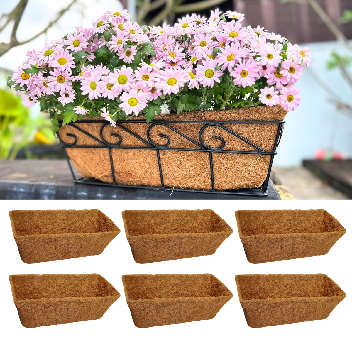 LaLaGreen Rectangular Coconut Coir Replacement Liners