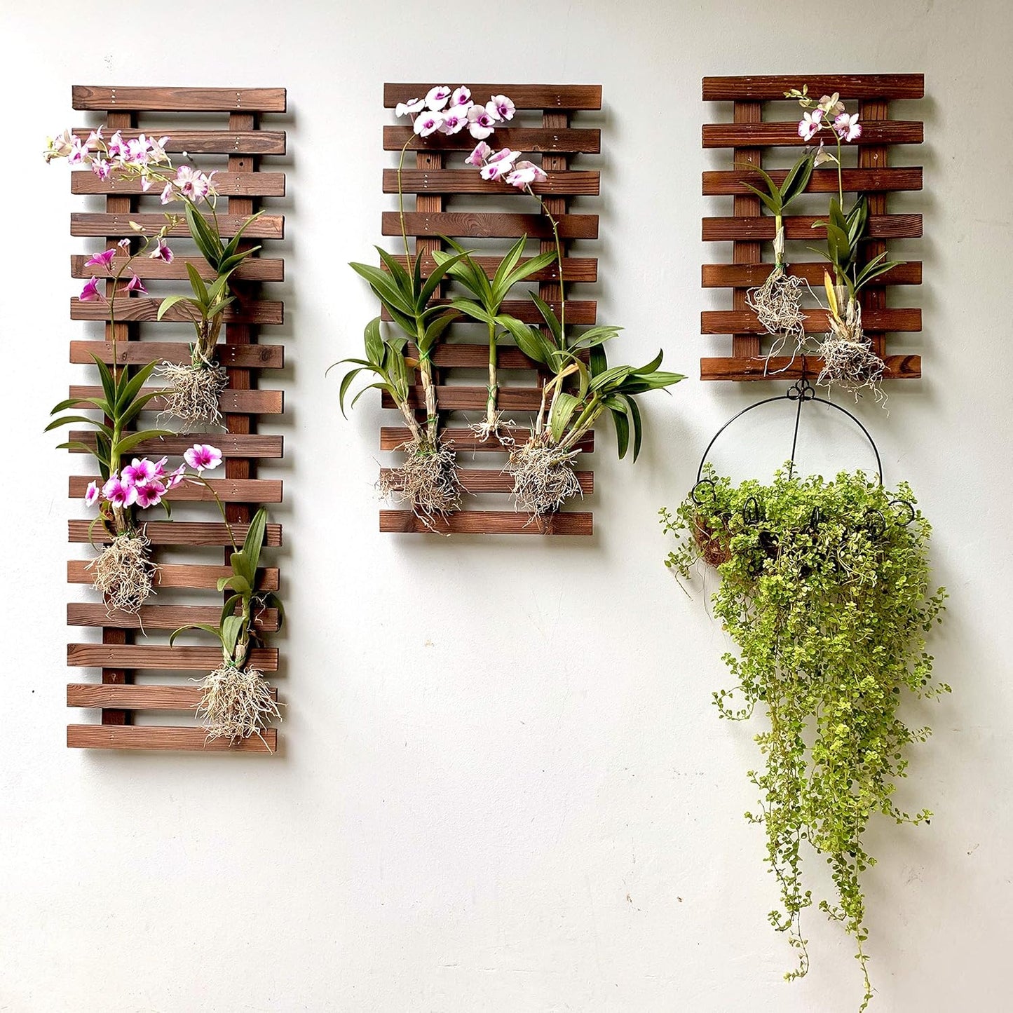ShopLaLa Wall Planter – 3 Pack Wooden Hanging Planter for Indoor Plants, Air Plant Succulent Holder, Live Vertical Garden Large Wall Mounted Plant Stand Decor for Christmas 15.7 + 23.6 + 35.4 Inch