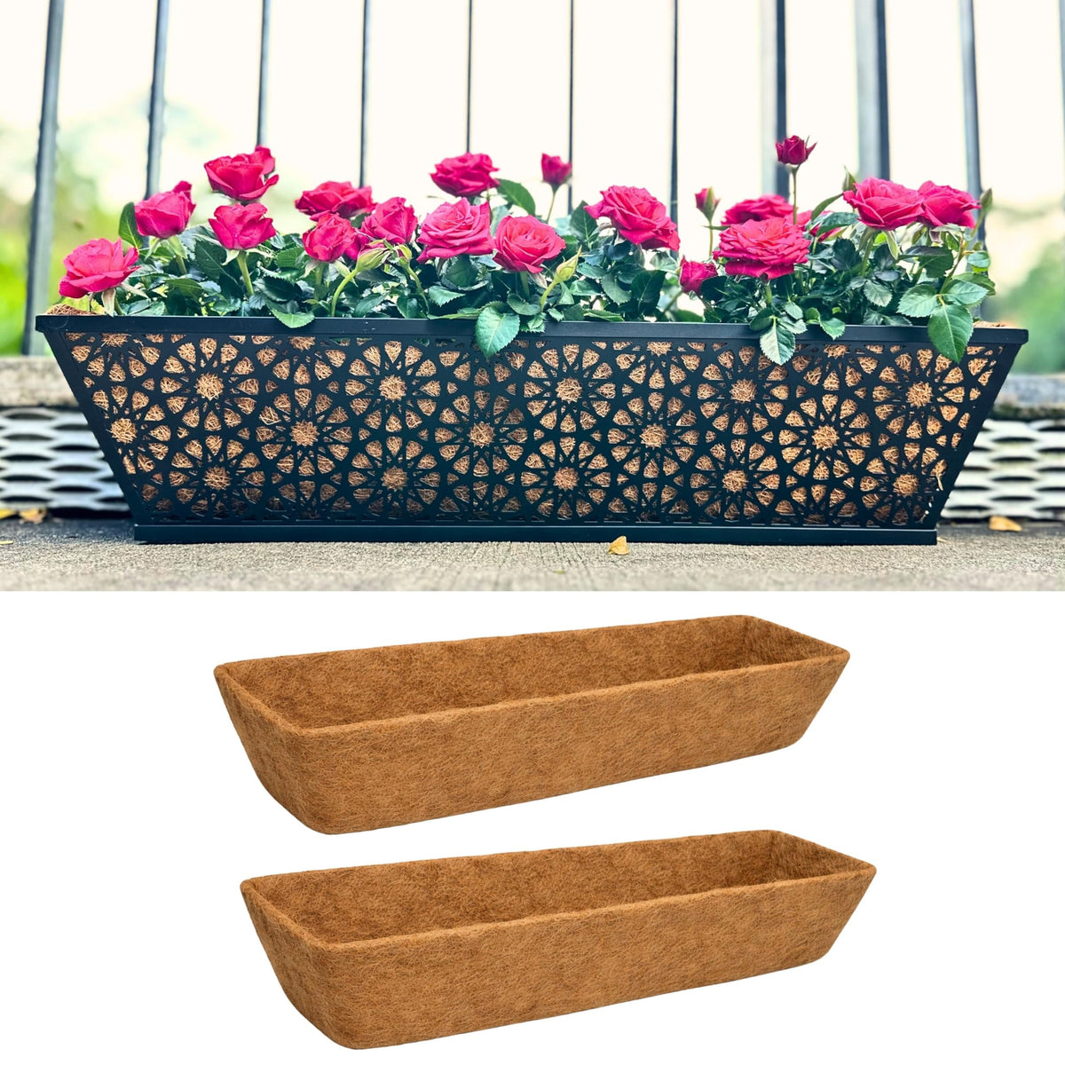 LaLaGreen Rectangular Coconut Coir Replacement Liners for Wall Planters